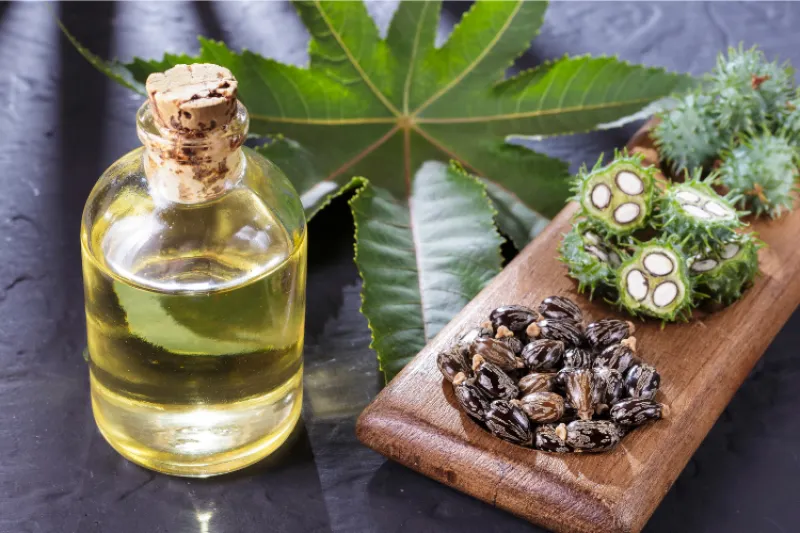 5 BEST TREATMENT FOR HAIR IN TAMIL