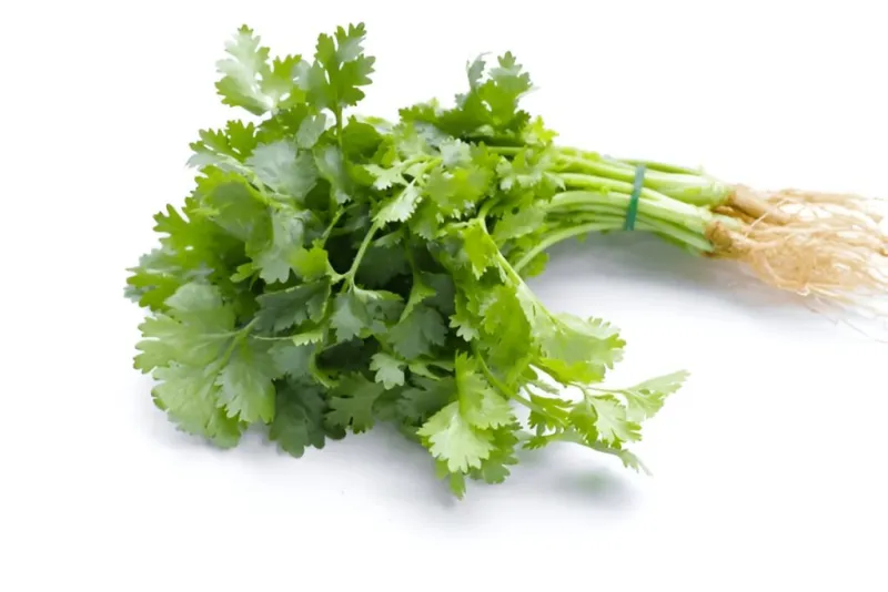 7 Best Hair Regrowth tips in tamil முடி வளர 7 சிறந்த குறிப்புகள்