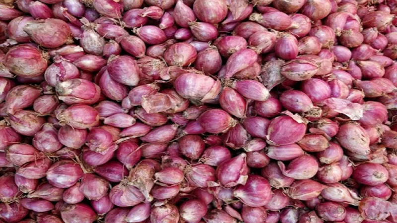 hair growth tips in tamil home remedies