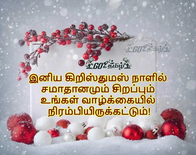 Happy Christmas Wishes Tamil