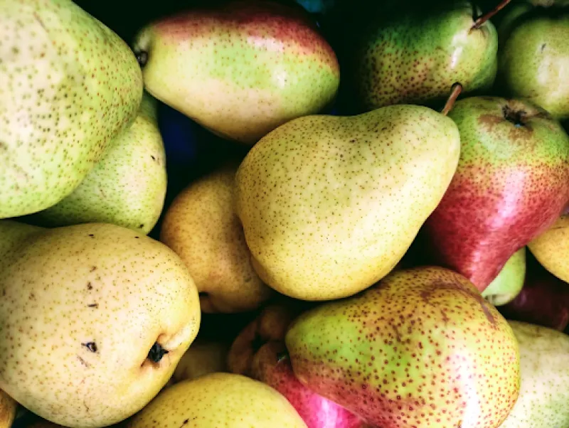 Pear fruit benefits in tamil