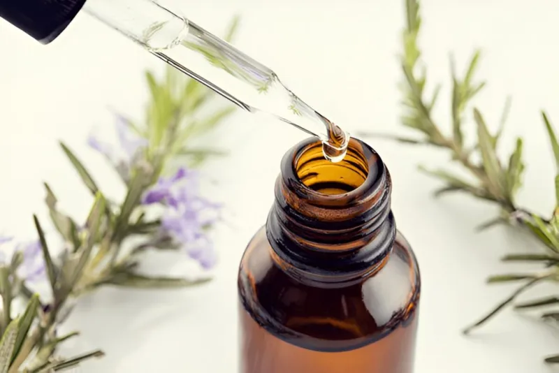 rosemary oil for hair growth
