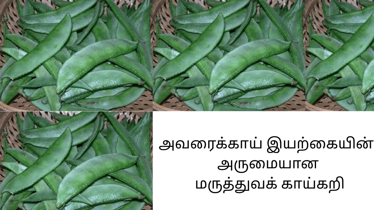 அவரைக்காய்  இயற்கையின் அருமையான மருத்துவக் காய்கறி