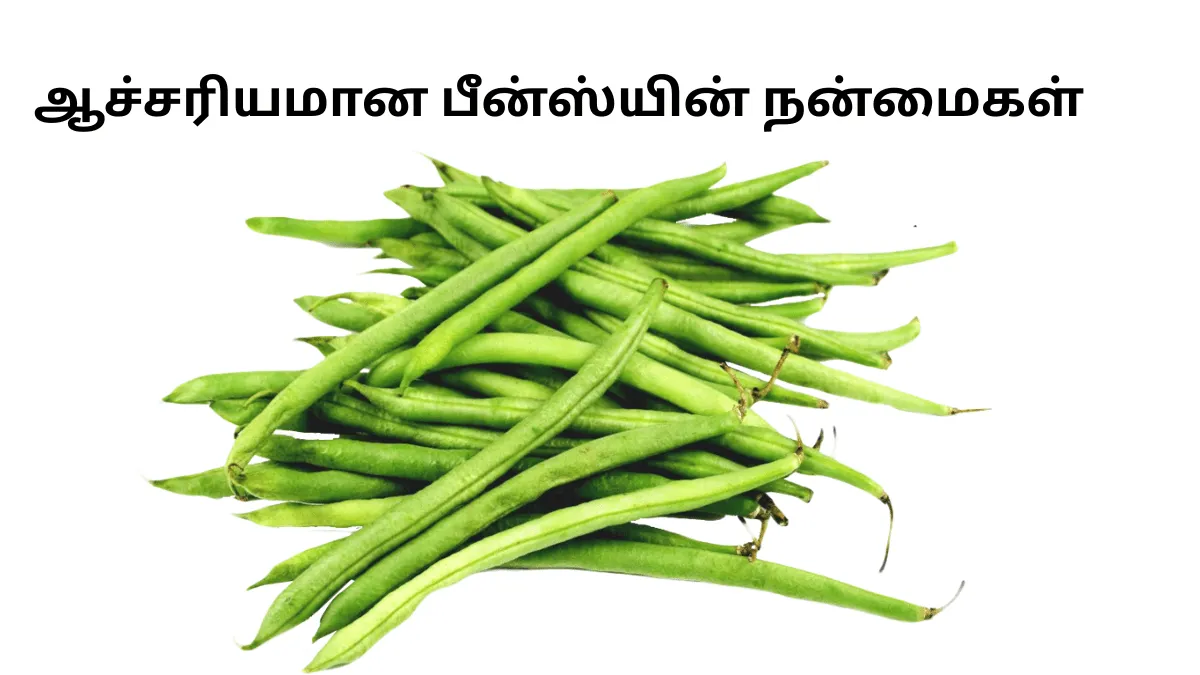 ஆச்சரியமான  பீன்ஸ்யின் நன்மைகள் 