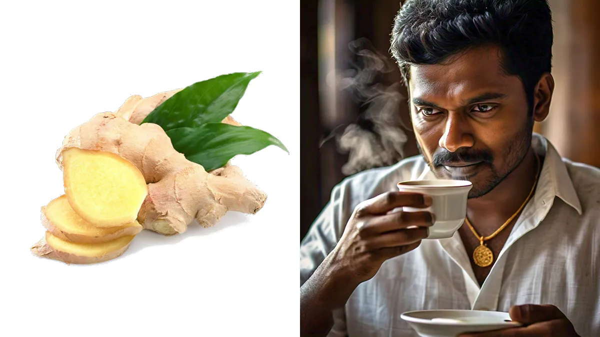 இஞ்சிட்டியில் எவ்வளவு நன்மைகள் இருக்கிறதா? வாருங்கள் பார்ப்போம்