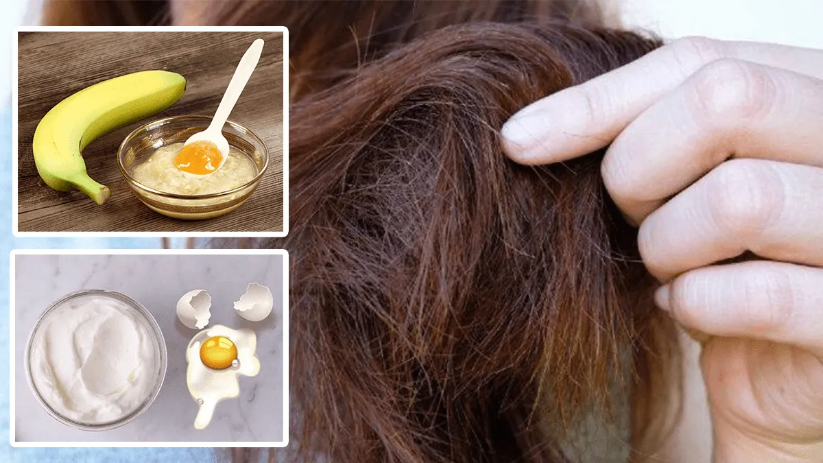 உங்கள் முடி உதிர்வதால் கவலையாக இருக்கிறதா? | fast hair growth tips in tamil home remedies
