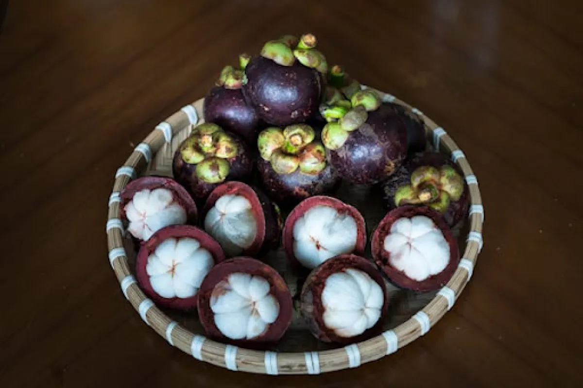 மங்குஸ்தானின் பயன்கள் | Mangoestan Benefits in tamil