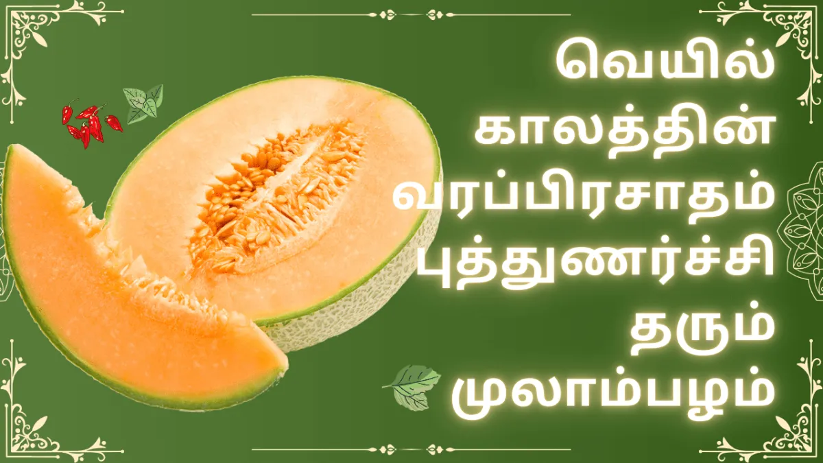 முலாம்பழத்தின் நன்மைகள் 