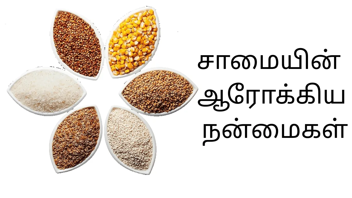 சாமையின் ஆரோக்கிய நன்மைகள்