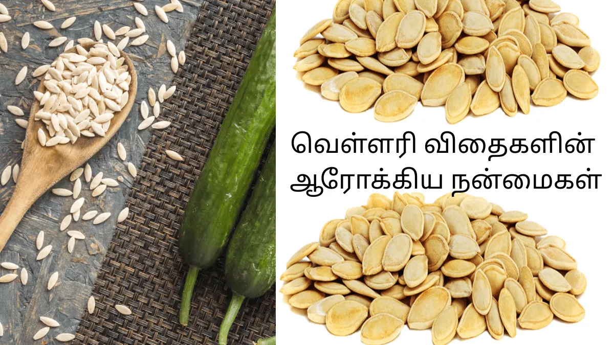 வெள்ளரி விதைகளின் ஆரோக்கிய நன்மைகள்
